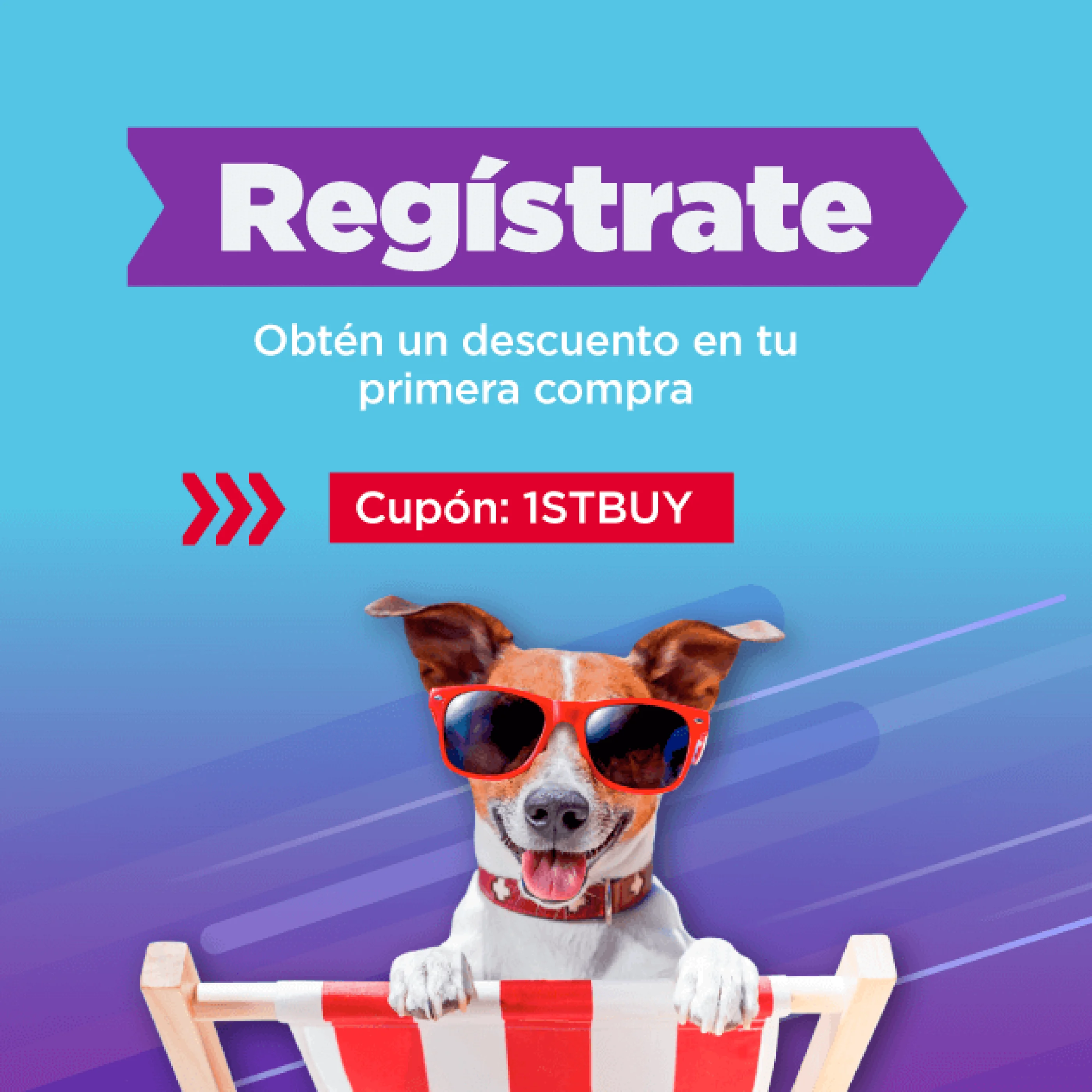 Buy-Xpres-Registro-Mobile-1.webp